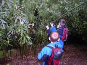 11.13.05 Arboretum-Pittock Mansion-Macleay Park 005 